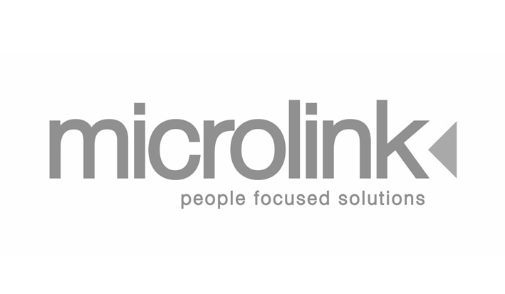 Microlink Logo